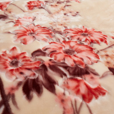 Cobertor de sublimação de poliéster tecido para cama de luxo Cobertor de casa impresso no inverno