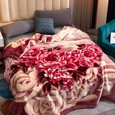 Confortável Inverno espessado Raschel cobertor Super Maciço Dupla Camada para têxteis domésticos