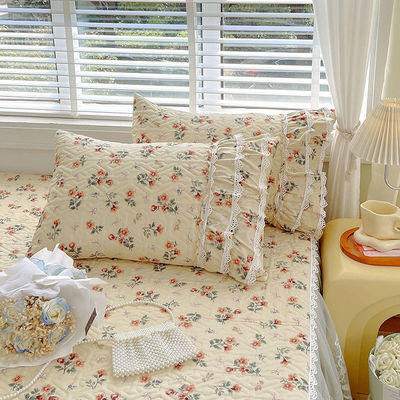 Princesa Wind adaptável Set de roupa de cama de renda francesa Todos os grupos Estilo Europeu Quatro Estações